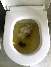 Blocked toilet Swansea